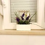 Orchid Seaview With Garage Parking