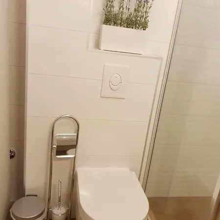 Orchid Seaview With Garage Parking Apartment Zaton (Dubrovnik-Neretva)