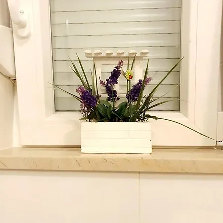 Orchid Seaview With Garage Parking