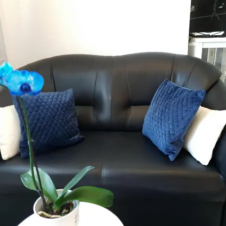 Orchid Seaview With Garage Parking アパート ザトン