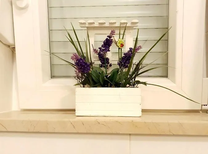 Orchid Seaview With Garage Parking